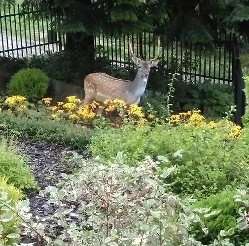 Hotel 4 Pory Roku&spa 3*